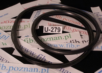 USZCZELKA PŁASZCZA